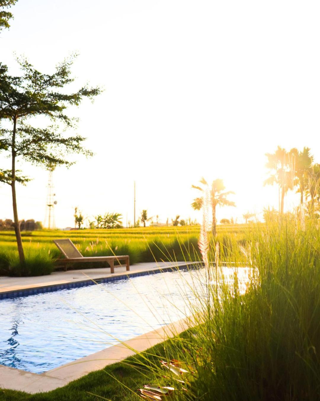 Padi Villa Canggu 坎古 外观 照片
